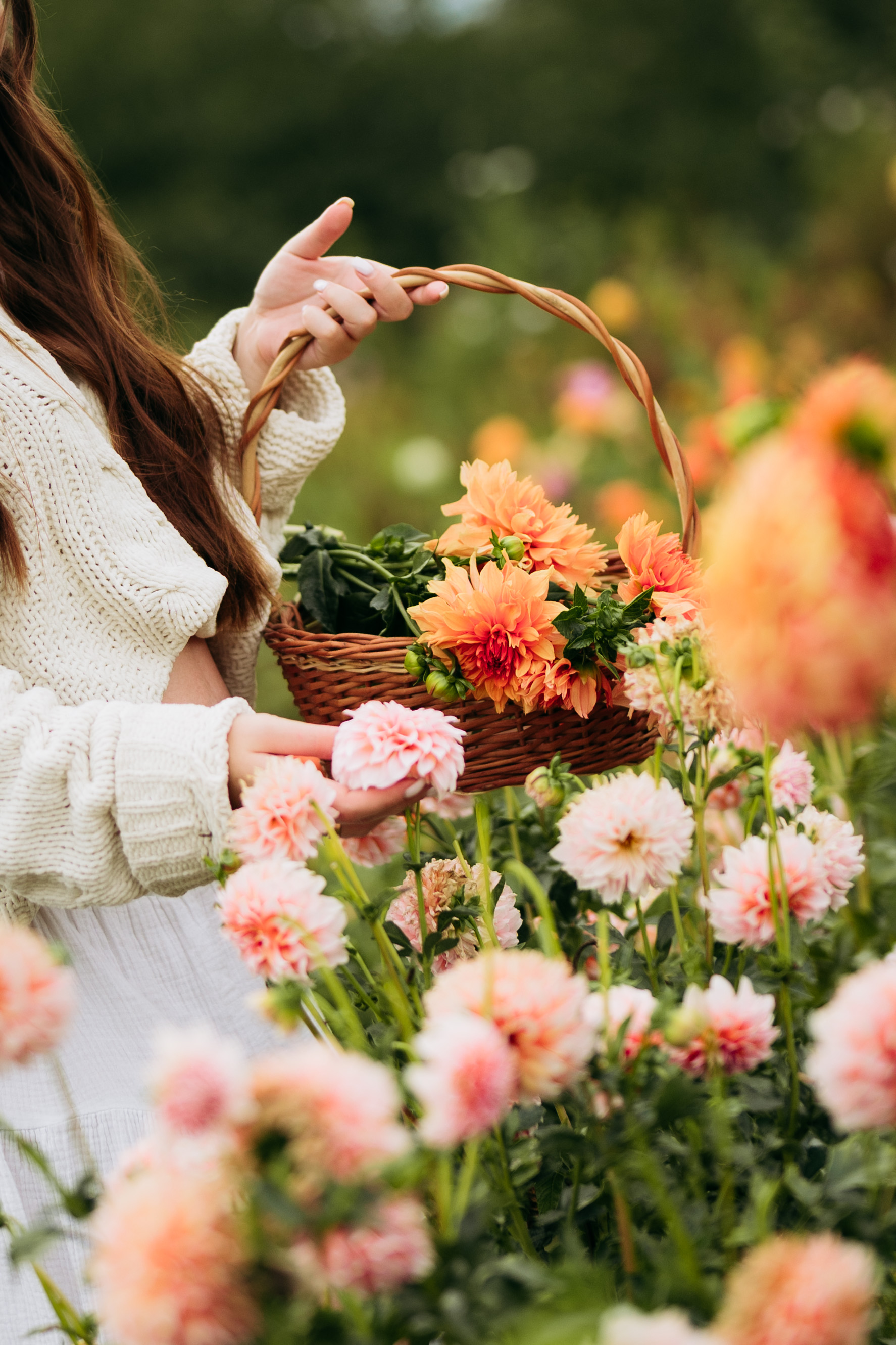 dahlia mood